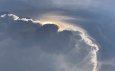 Feeling the Stress and What You Can Do About It
