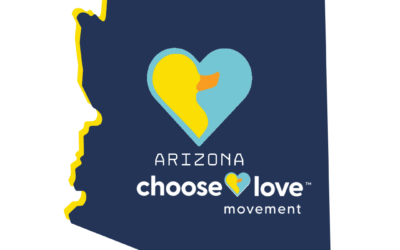 Arizona